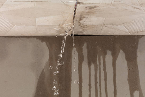 Professional Water Damage Repair technician working in Three Rivers, TX